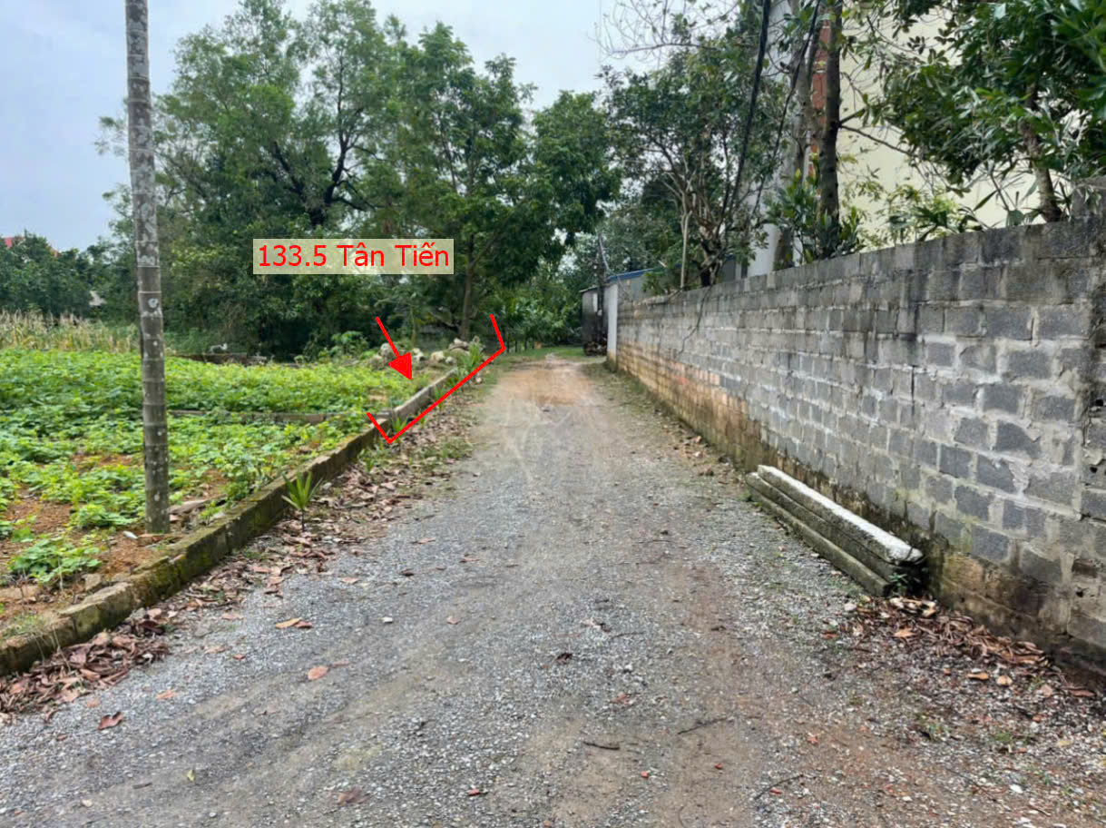 Hình ảnh Bán Đất Tân Tiến Ô Tô Vào Tận Đất Gần Trục Chính Kinh Doanh Liên Xã Giá Chưa Đến Tỷ 