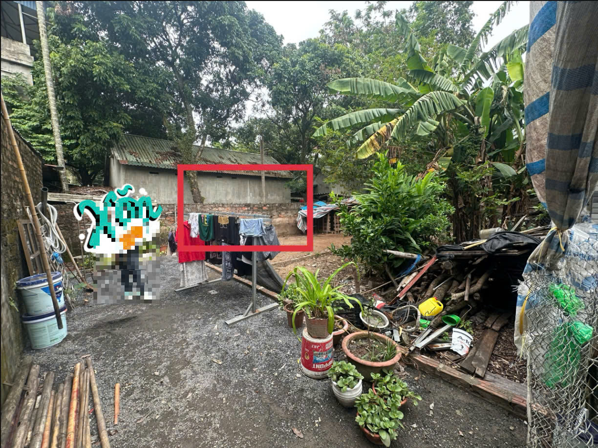 Hình ảnh Bán Đất Phụng Châu Sát Mặt Đường Kinh Doanh Liên Huyện Ngay Trung Tâm Xã Phụng Châu 