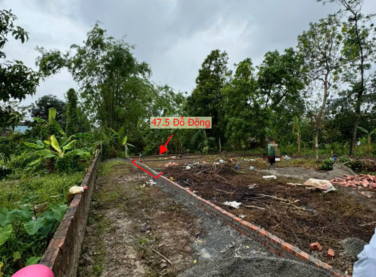 Hình ảnh Bán Đất Đỗ Động Ngay Trung Tâm Xã Đỗ Động Sát Trục Liên Xã | Đất Phân Lô Xã Đỗ Động Thanh Oai 