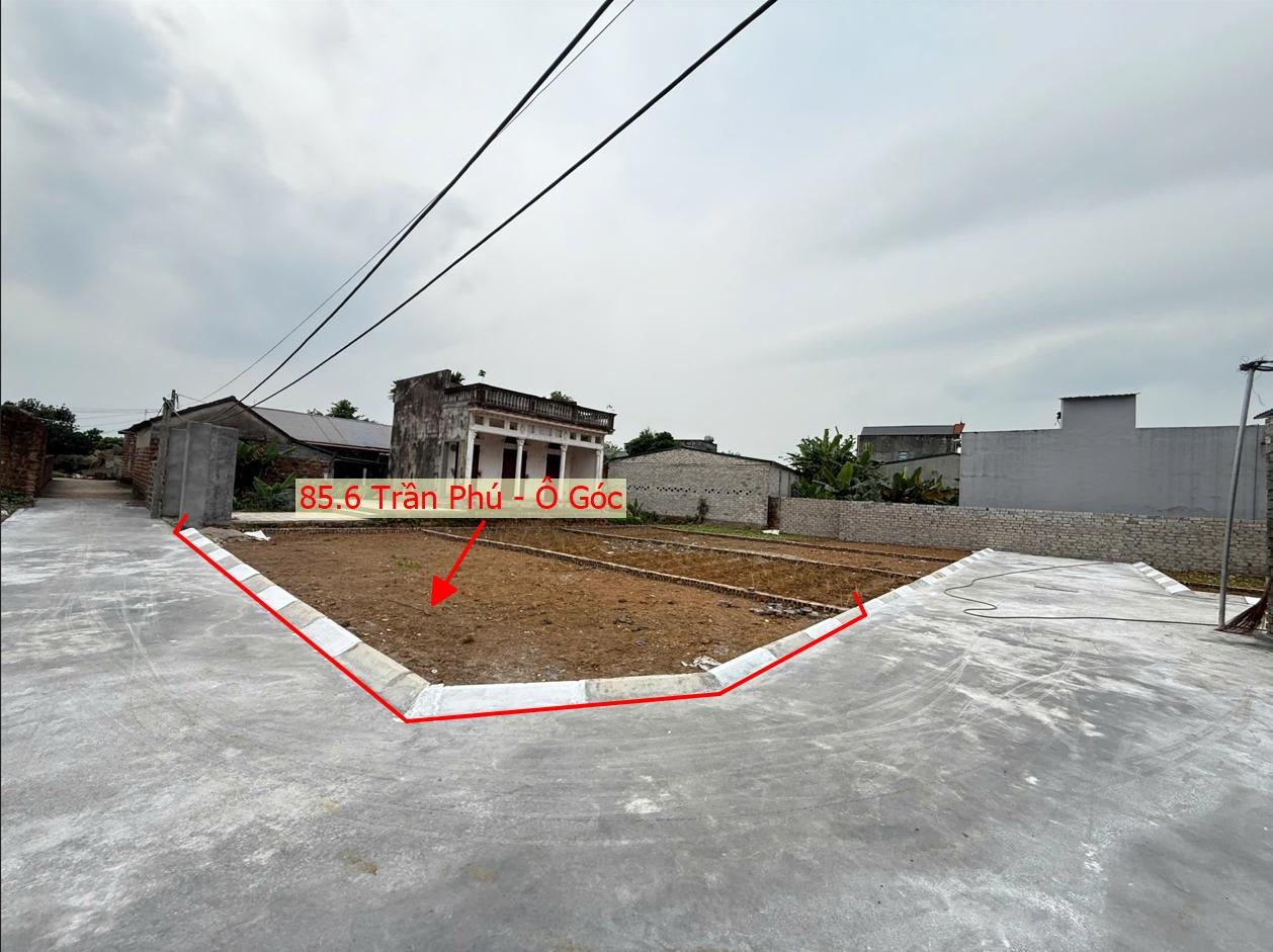 Hình ảnh Bất Động Sản Trần Phú Bán Đất Phân Lô Khu Vực Trần Phú Ô Tô Đỗ Tận Đất Sát Trục Chính Liên Xã Gần Khu Huấn Luyện Miếu Môn