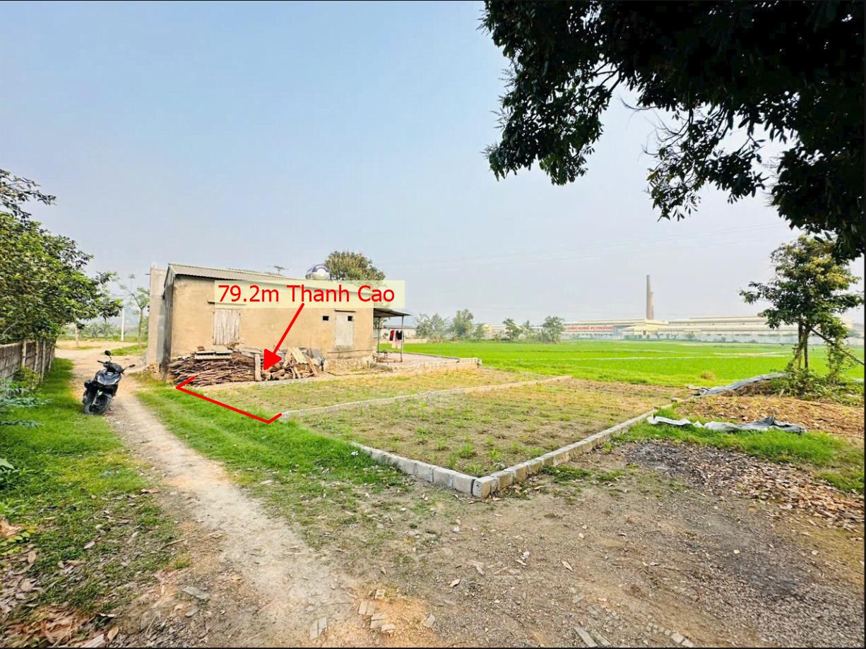 Hình ảnh Bán Lô Đất 79.2m Thanh Cao Lương Sơn Ô Tô Vầo Tận Đất View Cánh Đồng Thoáng Mát Cách Đường HCM 300m Giá Đầu