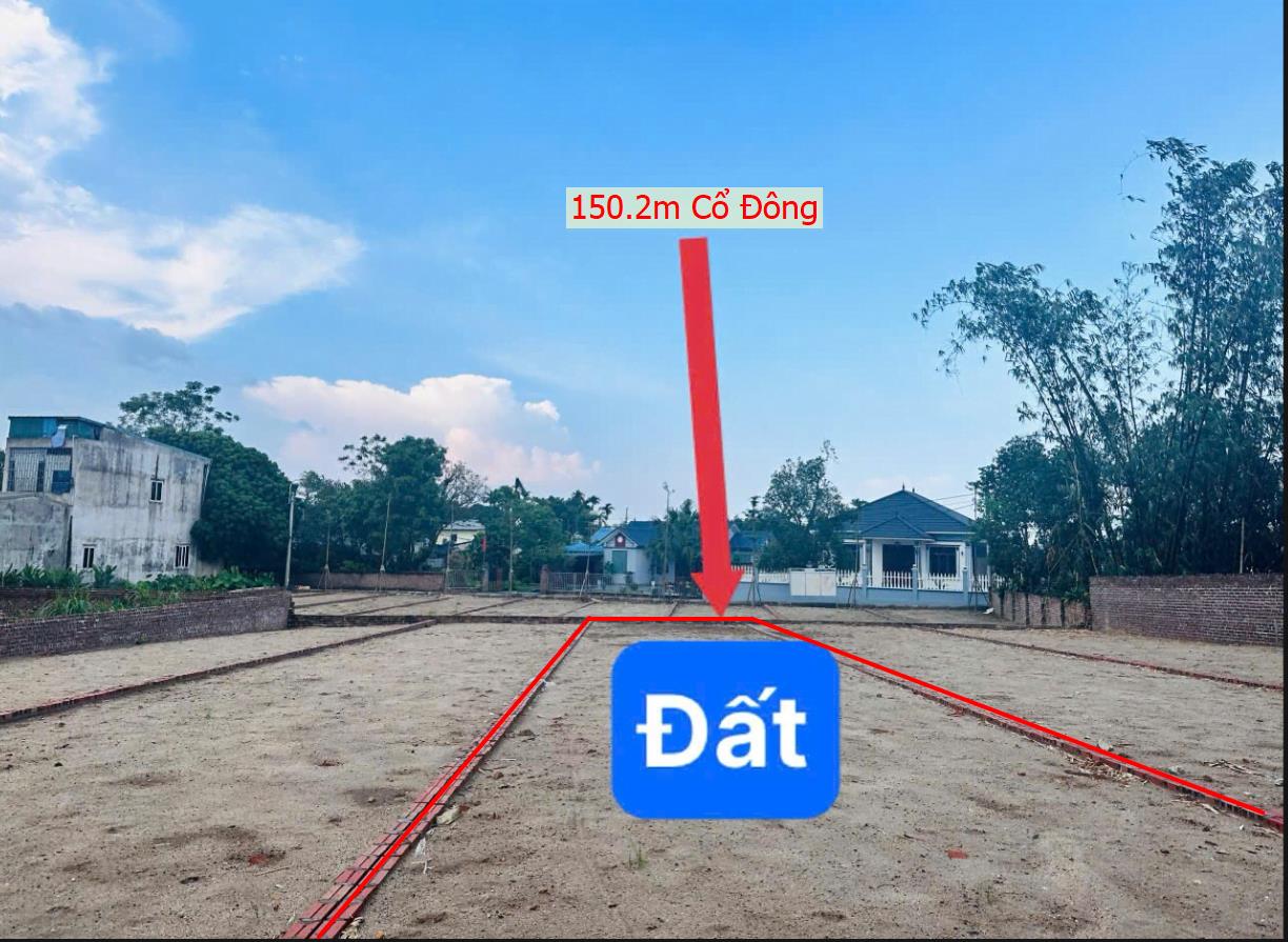 Hình ảnh Bán Lô Đất 150.2m Tại Cổ Đông Sơn Tây Bám Đường Bê Tông Ô Tô Vào Tận Đất Dân Cư Đông Đúc Thân Thiện Giá Đầu Tu