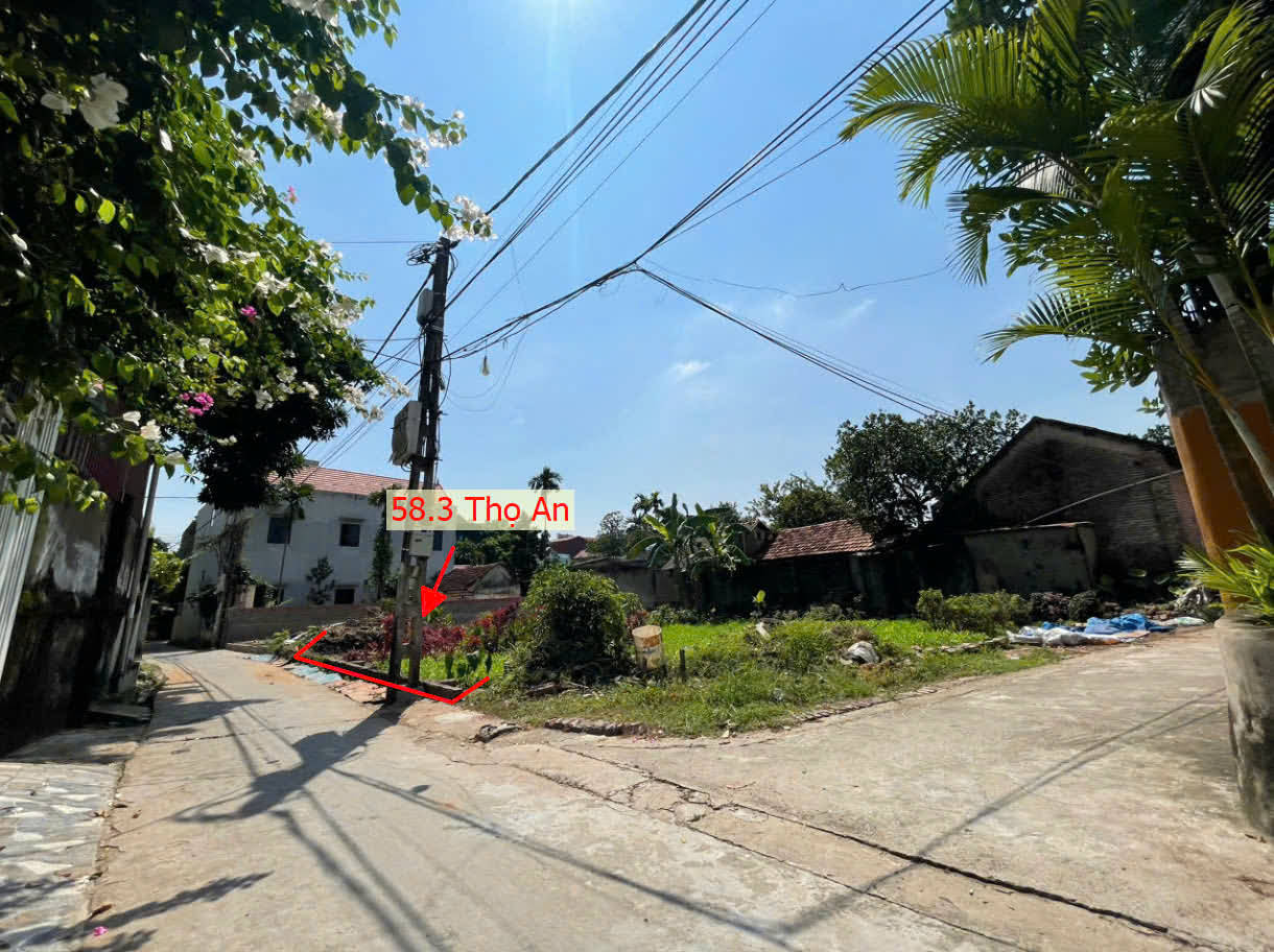 Hình ảnh Bán Đất Full Thổ Cư Sát Trục Chính Kinh Doanh Liên Xã Ngay Trung Tâm Xã Thọ An
