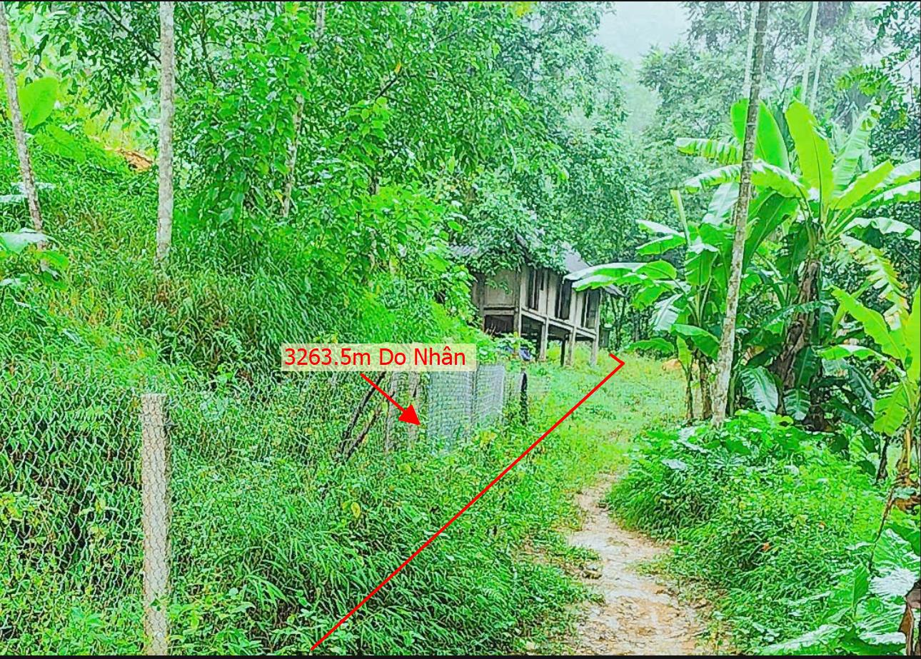 Hình ảnh Bán Lô Đất 3263.5m Tại Tân Lạc Sẵn Nhà Kiên Cố Tường Bao Ranh Giói Rõ Ràng View Thác Thung Thoáng Mát Phù Hợp Làm Nghỉ Dưỡng Giá Rẻ