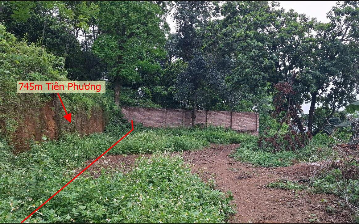 Hình ảnh Bán Lô Đất Nghỉ Dưỡng 745m Tại tiên Phương Chương Mỹ  Dân Cư Đông Đúc  View Thoáng Mát Gần Chợ Trường Học Giá Đầu Tư