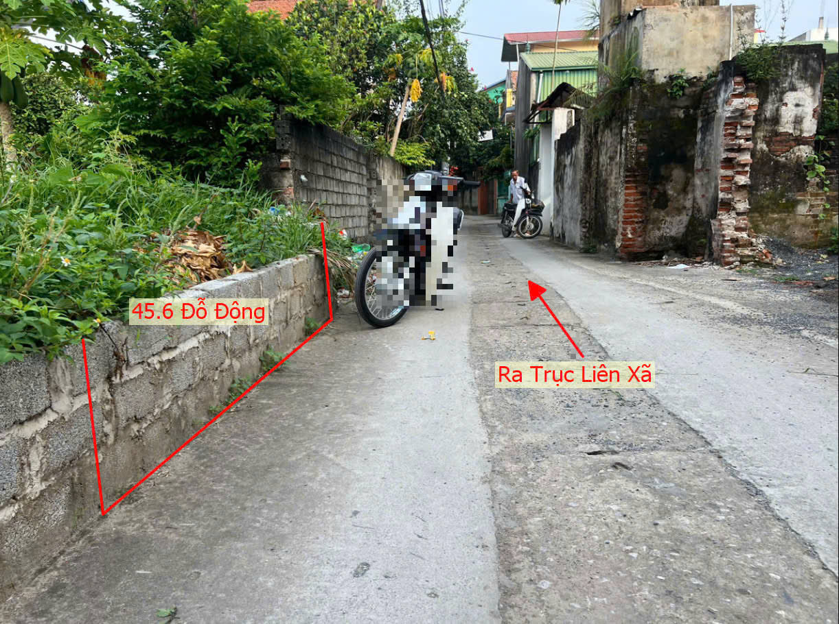 Hình ảnh Bán Đất Đỗ Động Gần Trục Kinh Doanh Liên Xã Ngay Sau Trường Cấp 3 Thanh Oai A 