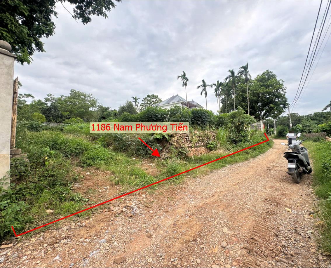 Hình ảnh Bán Thửa Đất 1186m Tại Nam Phương Tiến Ô Tô Đỗ Tận Đất Sát Hồ Miễu Thoáng Mát 