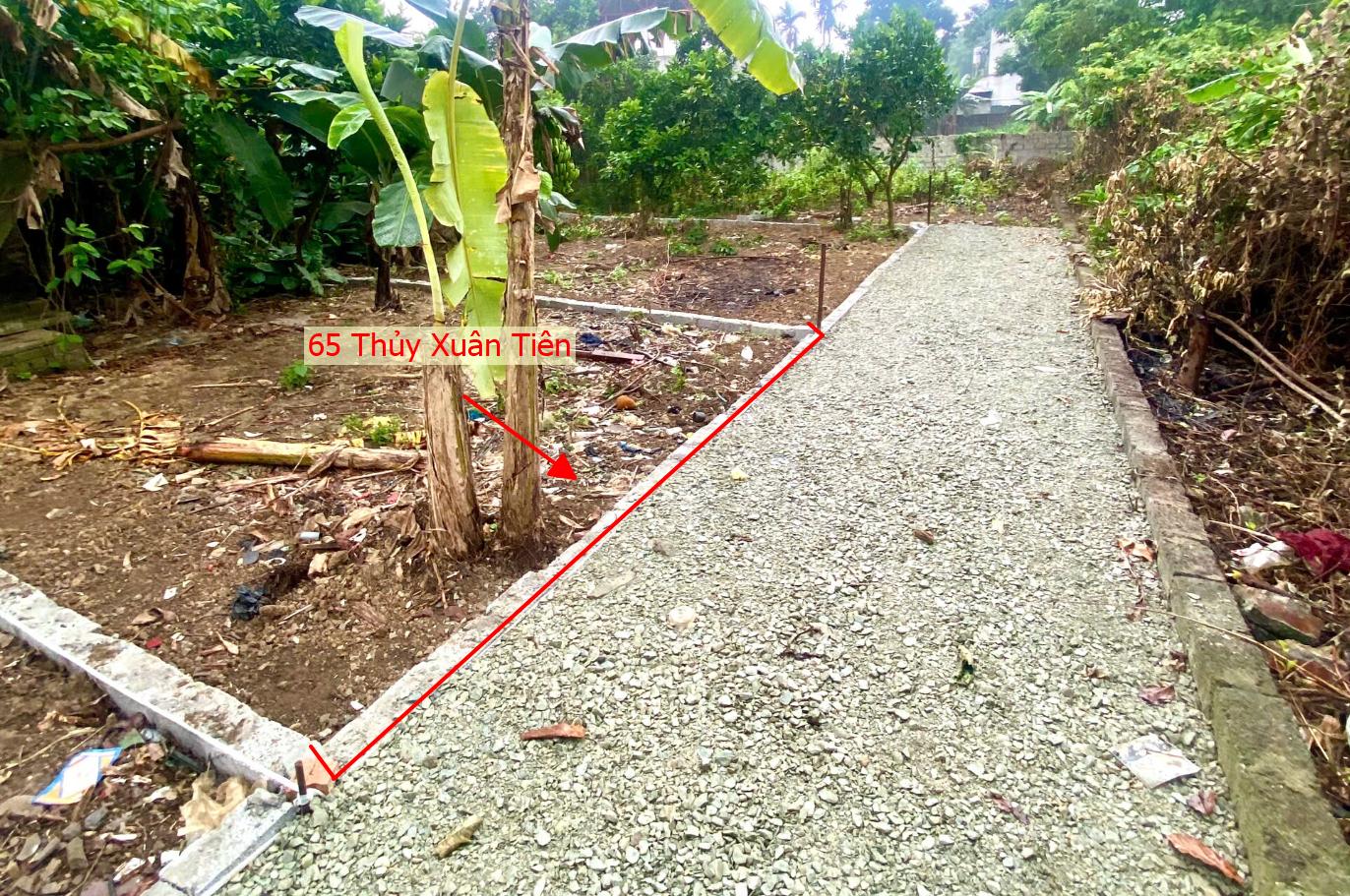 Hình ảnh Bất Động Sản Xuân Mai Bán Đất Khu Vực Thủy Xuân Tiên Full Thổ Cư Cách QL21A Vài Trăm Mét Giá Chưa Đến Tỷ