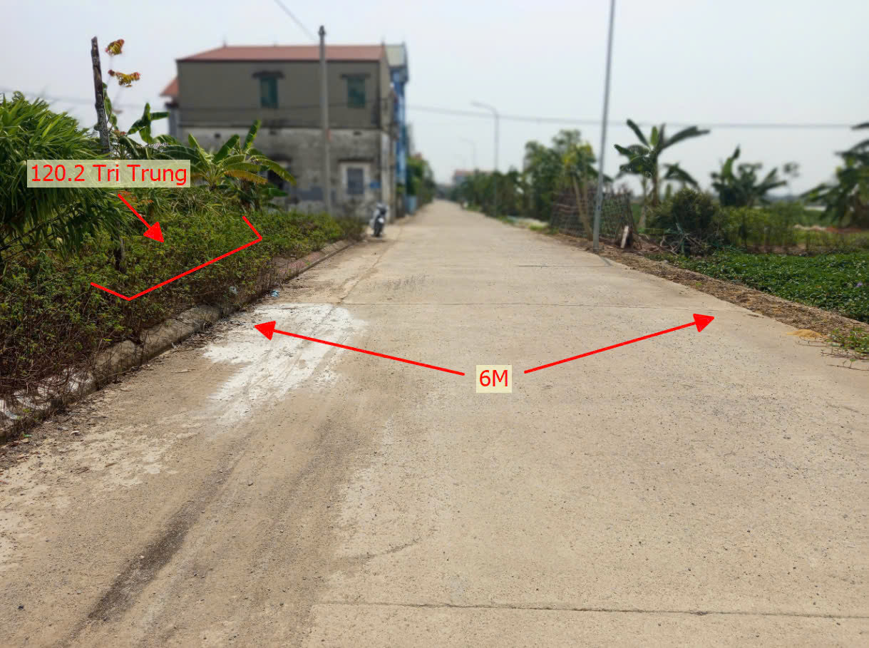 Hình ảnh Bán Đất Đấu Giá Khu Đồng Mèo Tri Trung Sát Trục Chính Kinh Doanh Liên Xã Ngay Trung Tâm Xã Tri Trung
