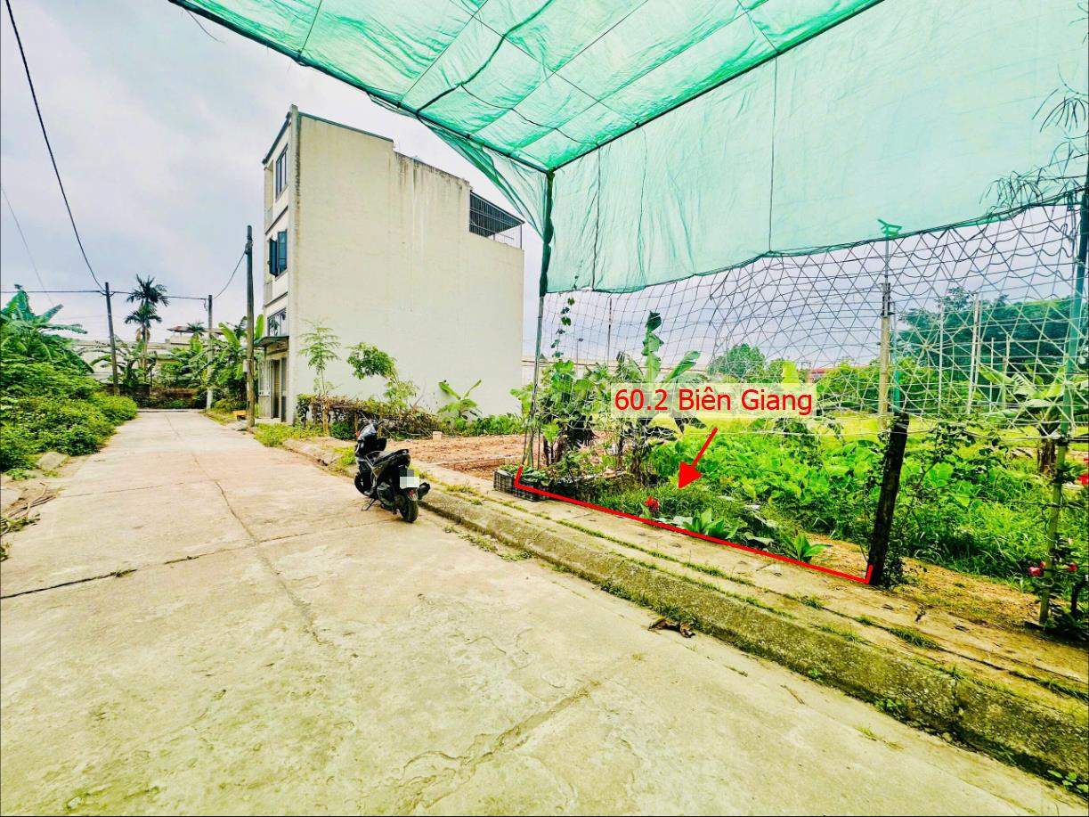 Hình ảnh Bất Động Sản Chương Mỹ Bán Đất Đấu Giá Khu Vực Biên Giang Đường Thông Ô Tô Gần QL6A, Cầu Mai Lĩnh Đang Mở Rộng