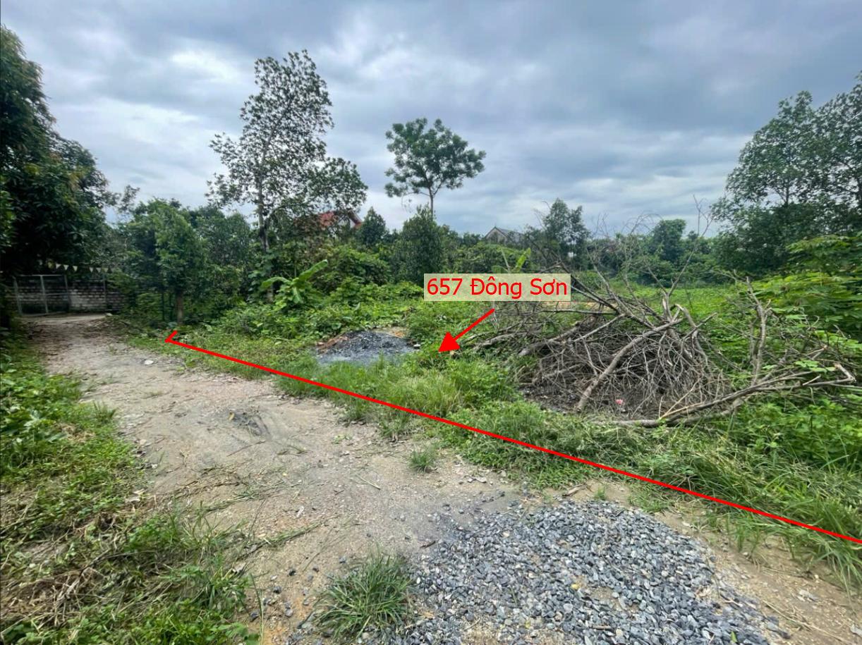 Hình ảnh Bán Thửa Đất 657m Tại Đông Sơn Ô Tô Đỗ Tận Đất Sát Trục Chính Kinh Doanh Gần QL6A Đang Mở Rộng