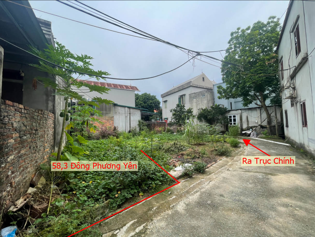 Hình ảnh Bán Đất Đông Phương Yên Full Thổ Cư Ngay Gần Trục Kinh Doanh Giá Nhỉnh Tỷ 