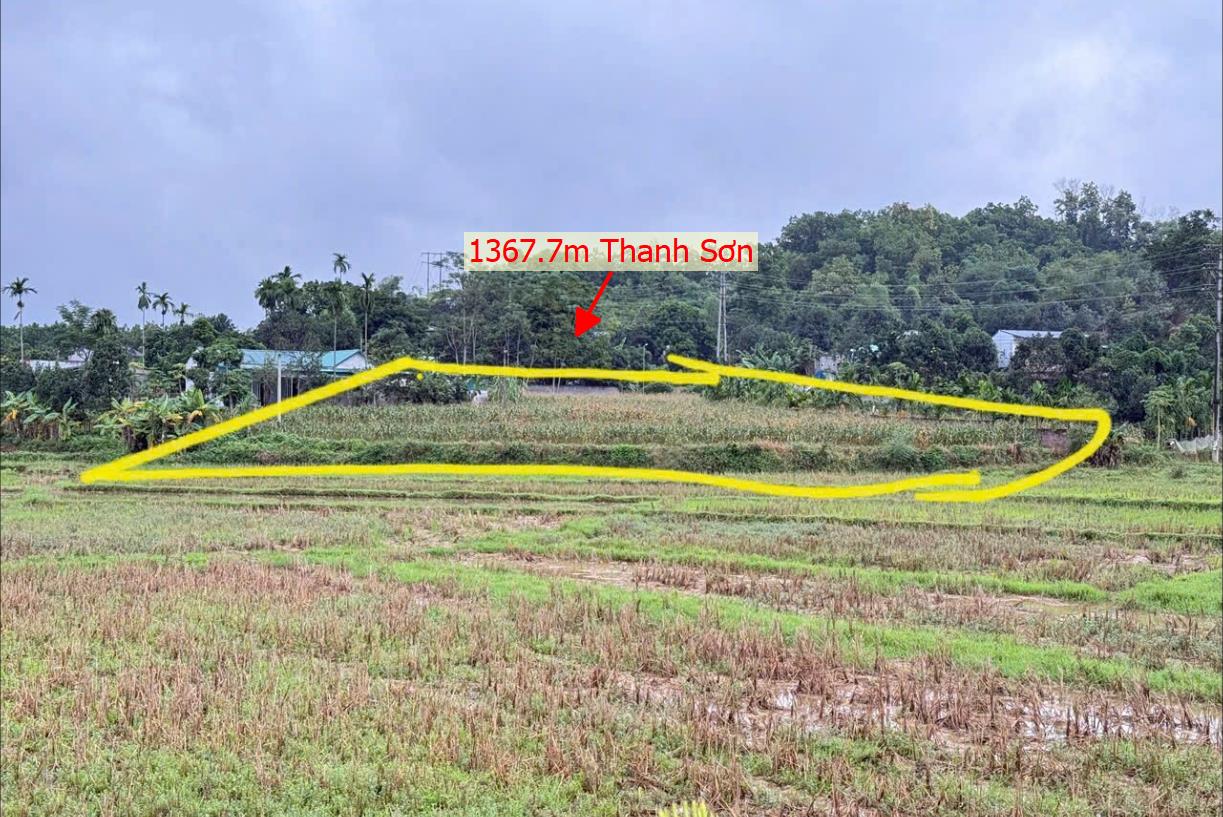 Hình ảnh Bán Lô Đất 1367.7m Tại Thanh Sơn Lương Sơn Bám Đường Bê Tông Ô Tô Vào Tận Đất Dân Cư Đông Đúc Thân Thiện Gần Chợ TRường Học Phù Hợp Phân Lô Giá Đầu Tư