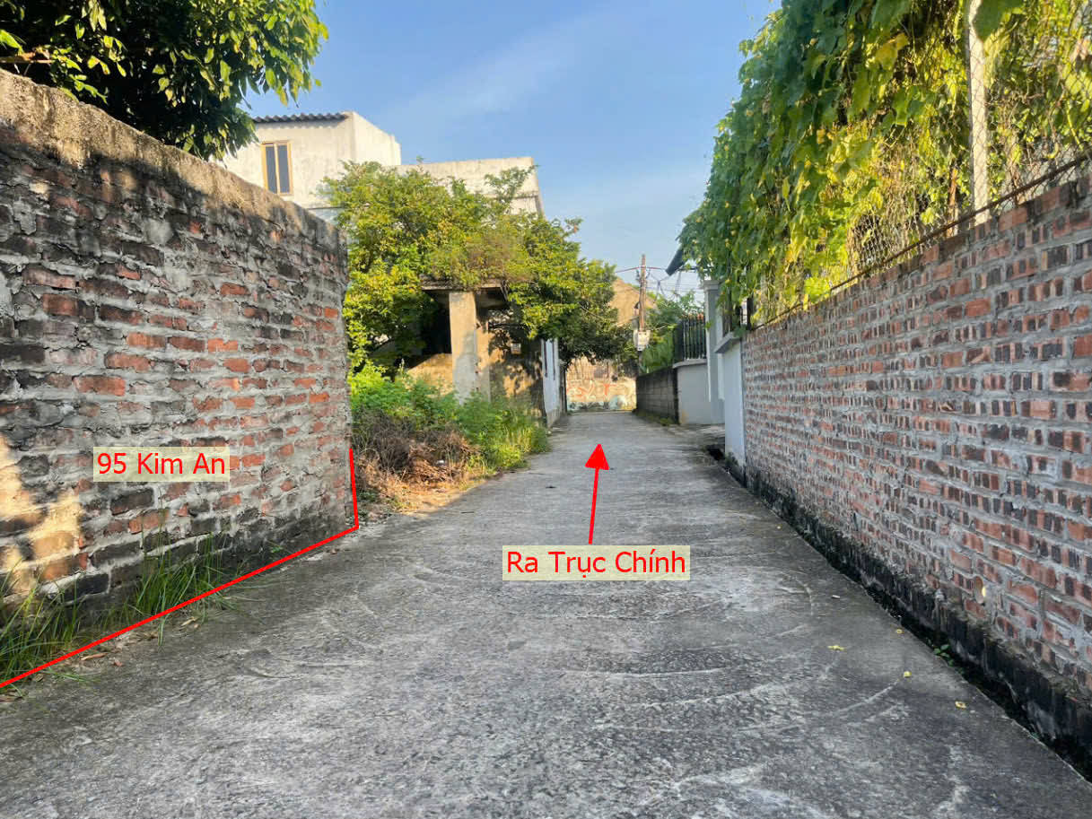 Hình ảnh Bán Đất Kim An Ô Tô Vào Tận Đất Ngay Sát Trục Chính Kinh Doanh Liên Xã 