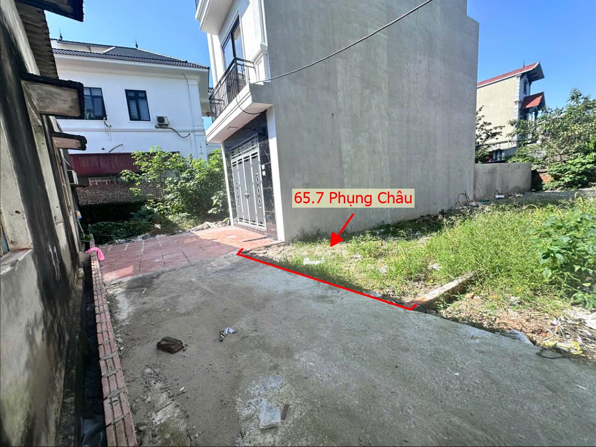 Hình ảnh Bán Đất Phụng Châu Ngay Cạnh Trường Đại Học TDTT Sát Trục Chính Kinh Doanh Liên Huyện