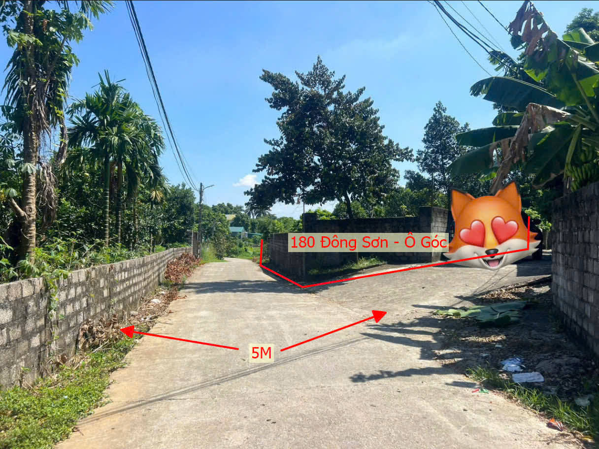 Hình ảnh Bán Lô Góc 2 Mặt Tiền Ô Tô Vào Tận Đất Gần Trục Chính Liên Xã Tại Đông Sơn