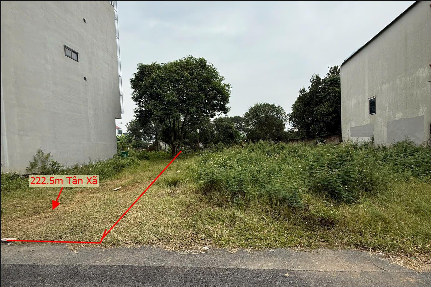 Hình ảnh Bán Lô Đất 222.5m Tại Tân Xã Thạch Thất Bám Đường Bê Tông Ô Tô Vào Tận Đất Dân Cư Đông Thân Thiện Sổ Đỏ Pháp Lý Rõ Ràng Giá Đầu Tư