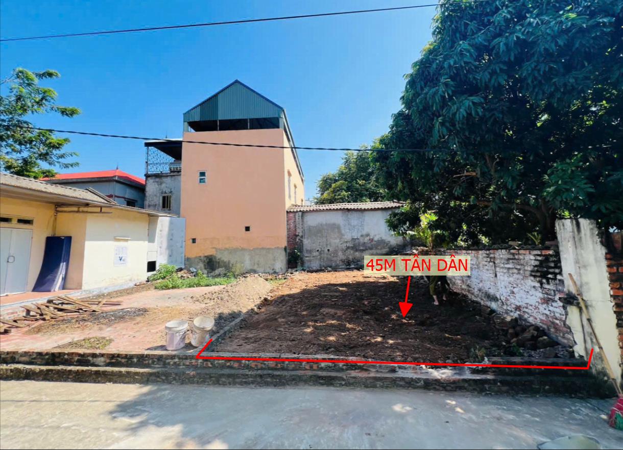 Hình ảnh Bán Lô Đất 56.5m Tại Tân Dân Sóc Sơn Bám Đường Bê Tông Ô Tô Vào Tận Đất Dân Cư Đông Đúc Giá Đầu Tư