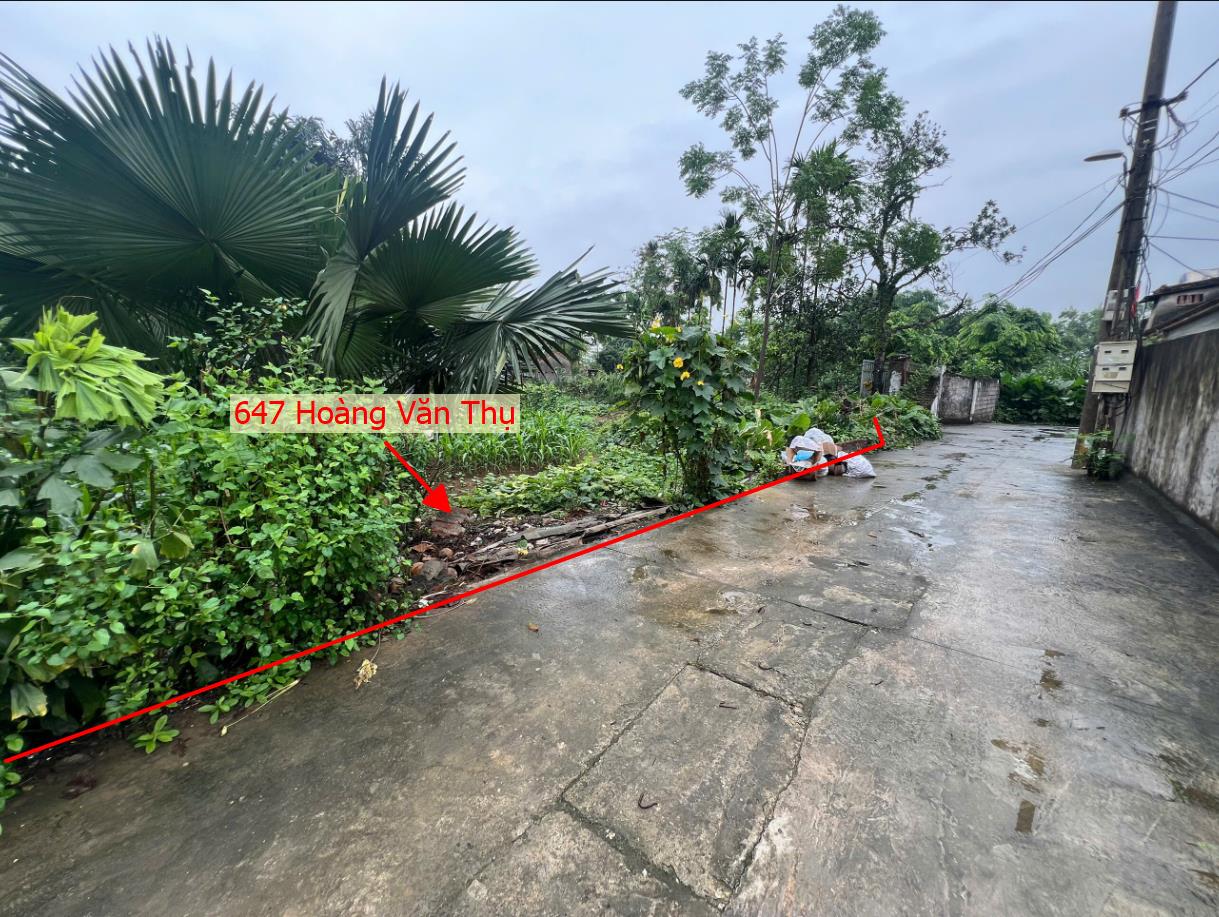 Hình ảnh Bất Động Sản Trần Phú Bán Đất Khu Vực Hoàng Văn Thụ Ô Tô Đỗ Tận Đất Gần Trục Chính Kinh Doanh Cách QL21A Chỉ Vài Trăm Mét