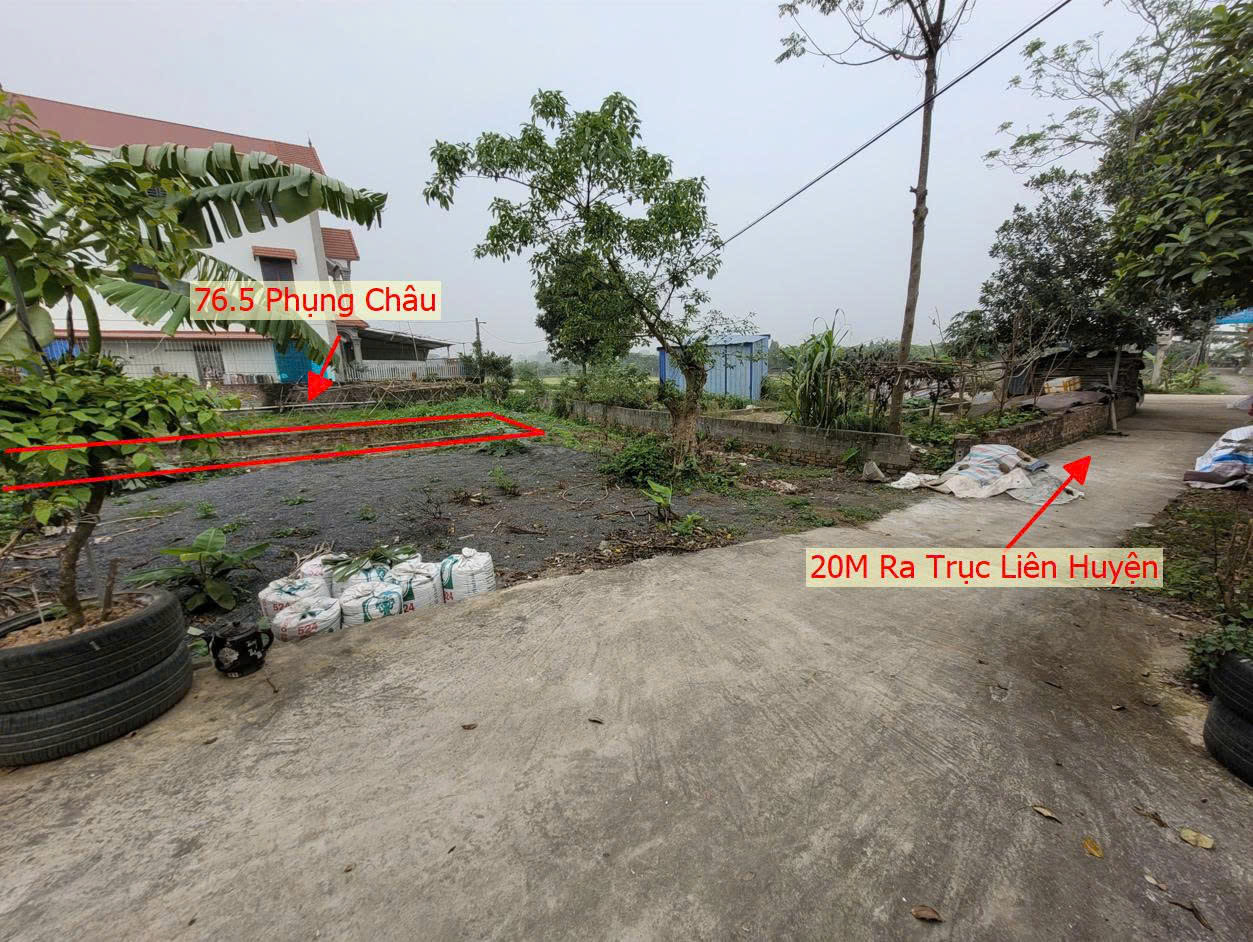Hình ảnh Bán Thửa Đất 76.5m Tại Phụng Châu Sát Trục Chính Kinh Doanh Liên Huyện Gần Khu Du Lịch Chùa Trầm