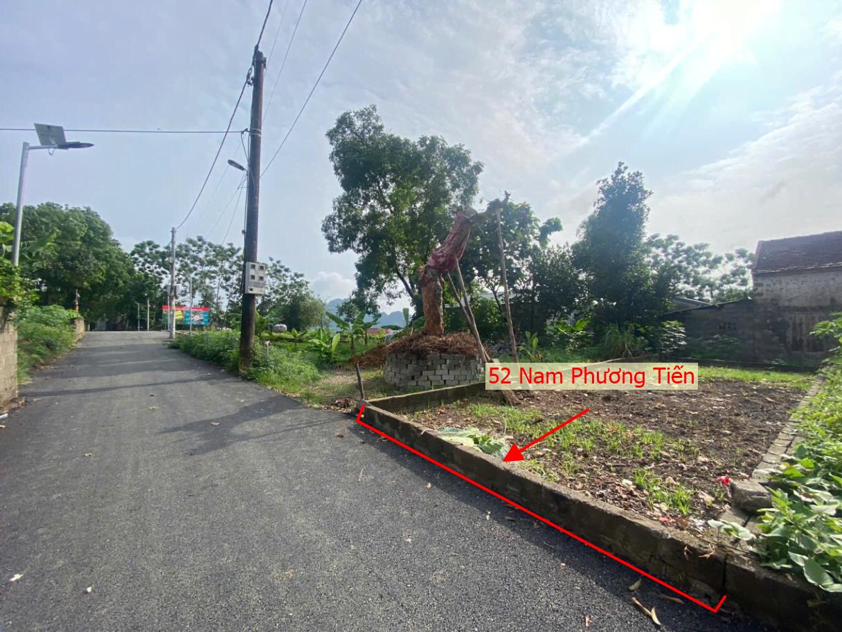 Hình ảnh Đất Phân Lô Xã Nam Phương Tiến Ô Tô Đỗ Tận Đất Sát Trục Chính Kinh Doanh Liên Xã Giá Chỉ Hơn Tỷ 