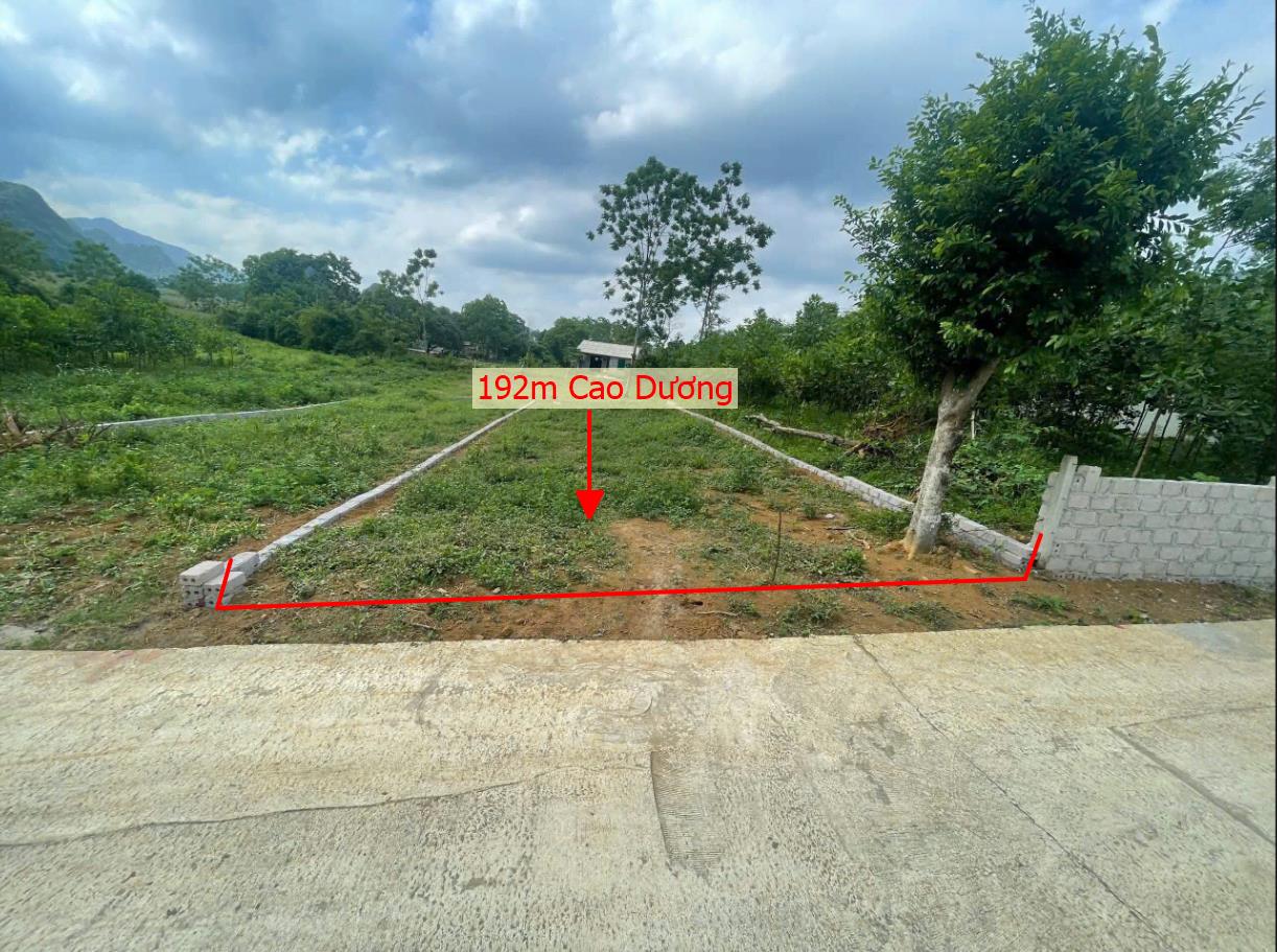 Hình ảnh Bán Lô Đất 192m Tại Cao Dương Lương Sơn Bám Đường Bê Tông Ô Tô Vào Tận Đất Dân Cư Đông Đúc Giá Đầu Tư