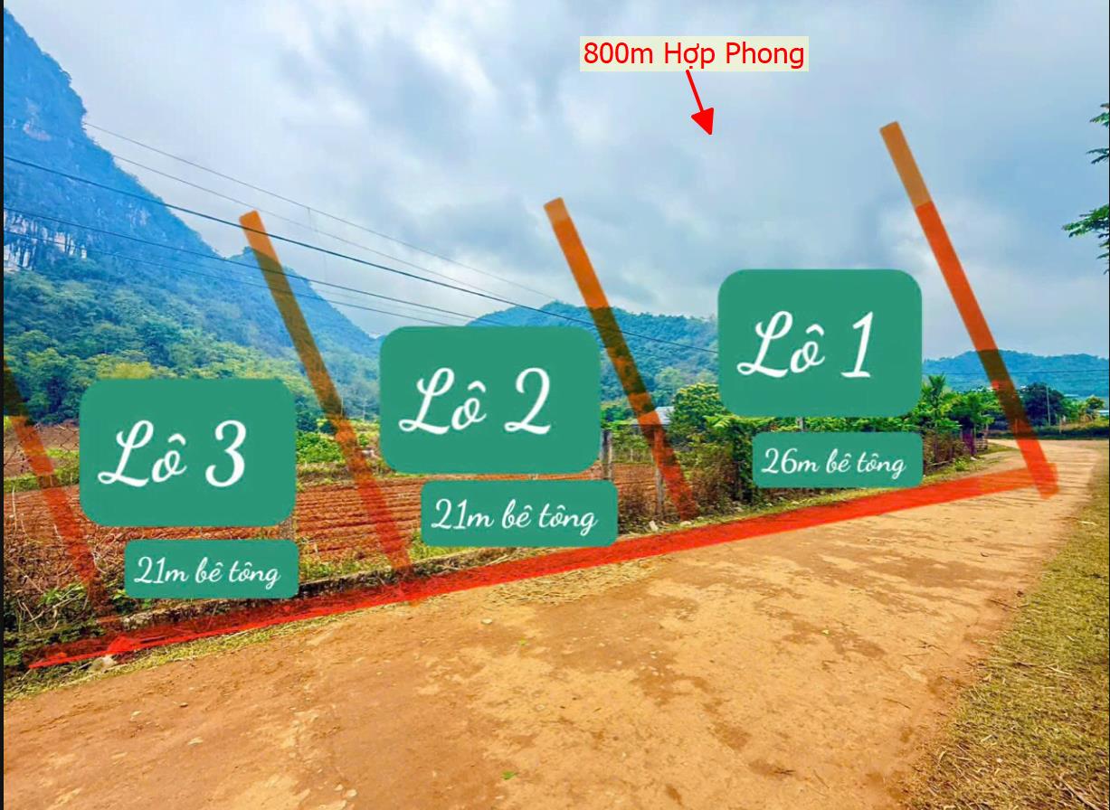 Hình ảnh Bán Lô Đất 800m Tại Hợp Phong Cao Phong Bám Đường Bê Tông Ô Tô Vào Tận Đất Dân Cư Đông Đúc View Thoáng Mát Giá Đầu Tư