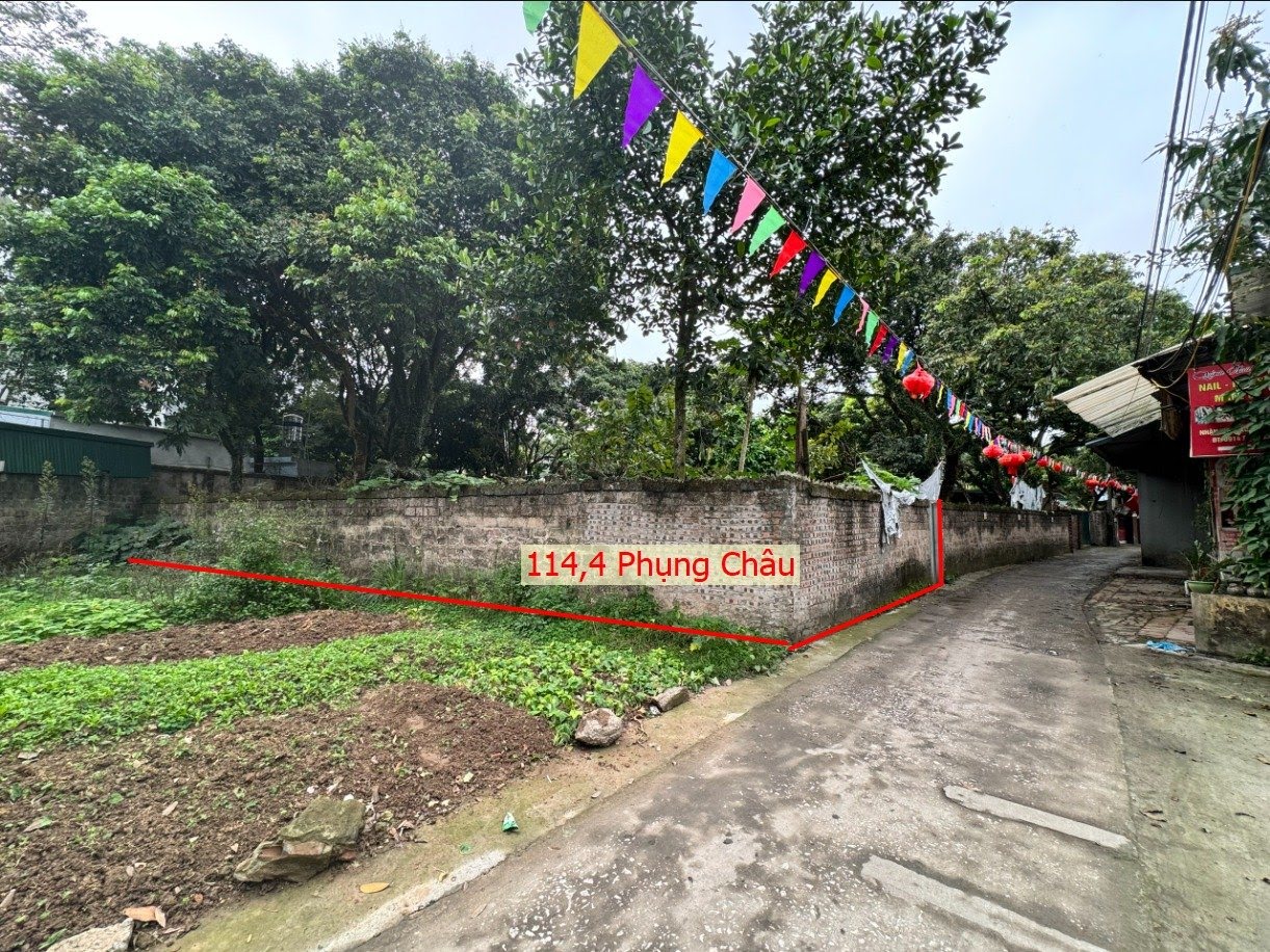 Hình ảnh Bán Thửa Đất 114.4M2 Tại Phụng Châu Chương Mỹ Ô Tô Vào Tận Đất Sát Trục Kinh Doanh Liên Huyện 
