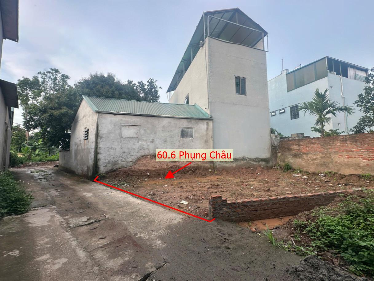 Hình ảnh Bán Đất Phụng Châu Gần Trục Chính Kinh Doanh Ô Tô Vào Tận Đất Ngay Trung Tâm Xã Phụng Châu 