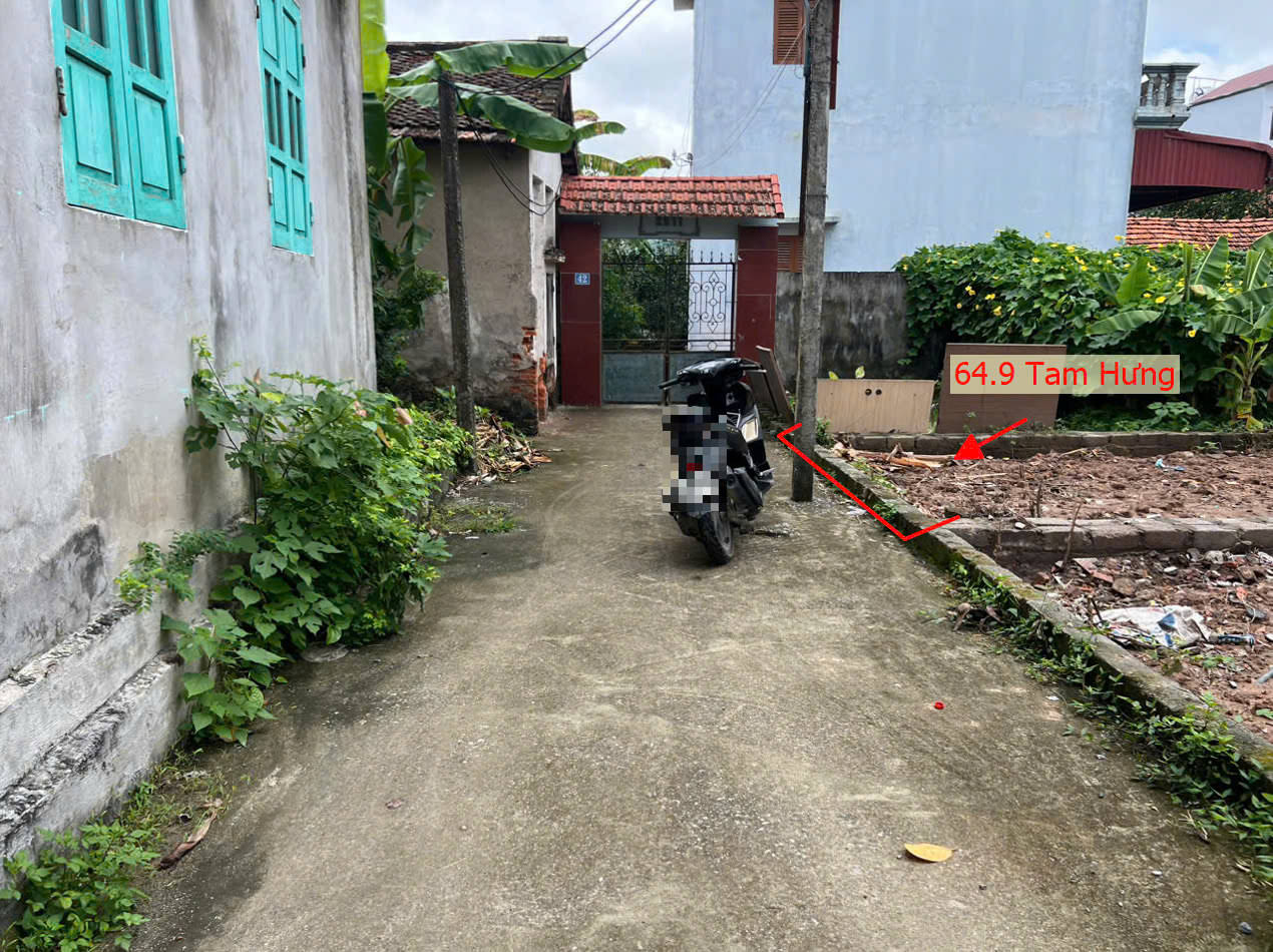 Hình ảnh Bán Đất Tam Hưng Ngay Sát Trục Chính Kinh Doanh Ngay Trung Tâm Xã Tam Hưng 