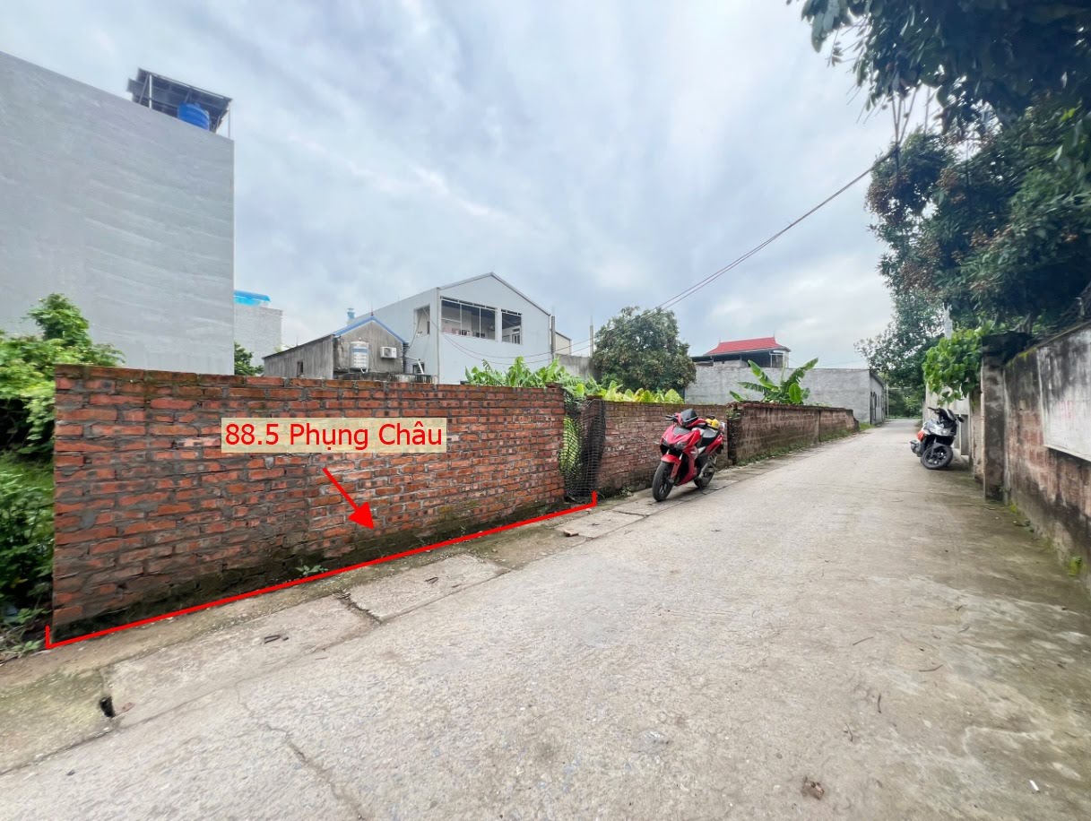 Hình ảnh Bán Đất Full Thổ Cư 88.5m Tại Phụng Châu Đường Thông Ô Tô Sát Trục Chính Kinh Doanh Liên Huyện 