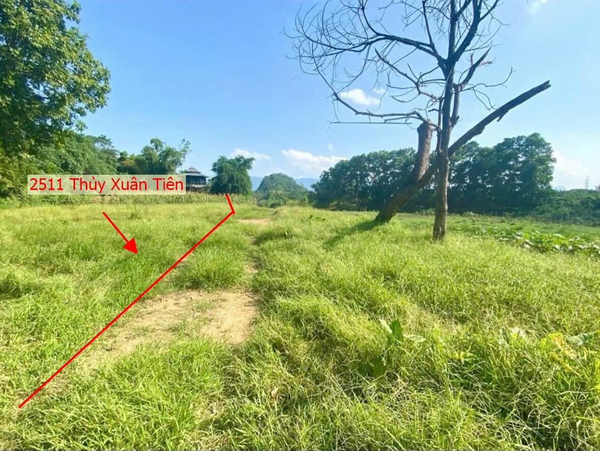 Hình ảnh Bán Thửa Đất 2511m Tại Thủy Xuân Tiên Chương Mỹ Ô Tô Đỗ Tận Đất Gần Đường Hồ Chí Minh(QL21A)