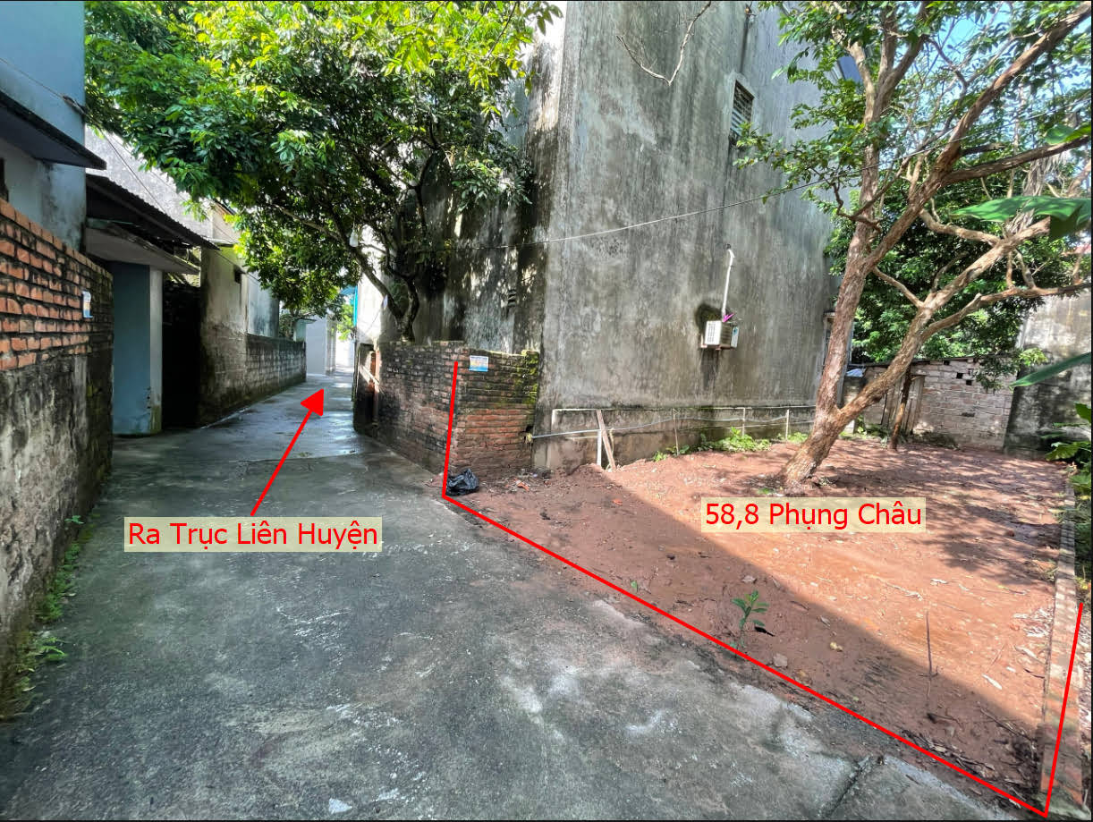 Hình ảnh Bán Đất Phụng Châu Full Thổ Cư Ngay Sau Trạm Y Tế Xã Phụng Châu 