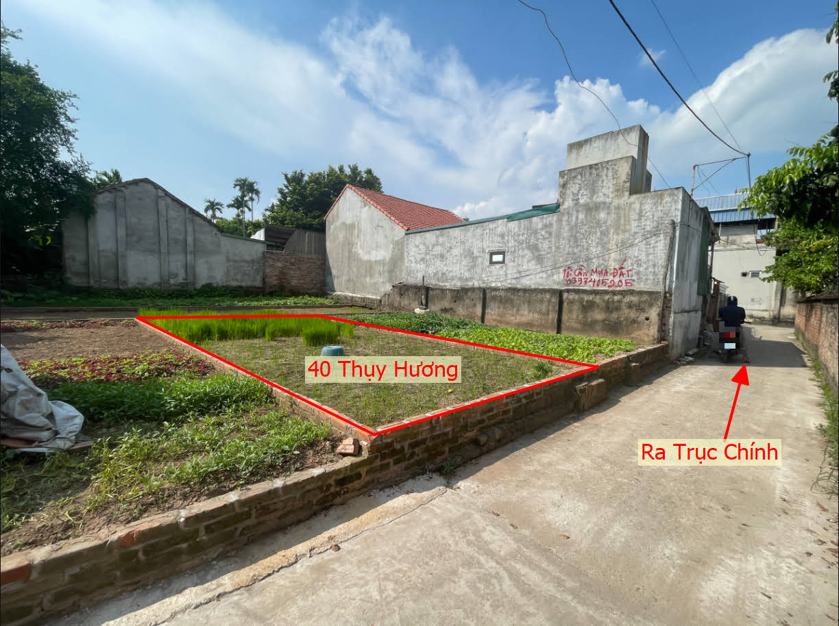 Hình ảnh Bán Đất Phân Lô Thụy Hương Ô Tô Vào Tận Đất Gần Trung Tâm Xã Thụy Hương Giá Nhỉnh Tỷ