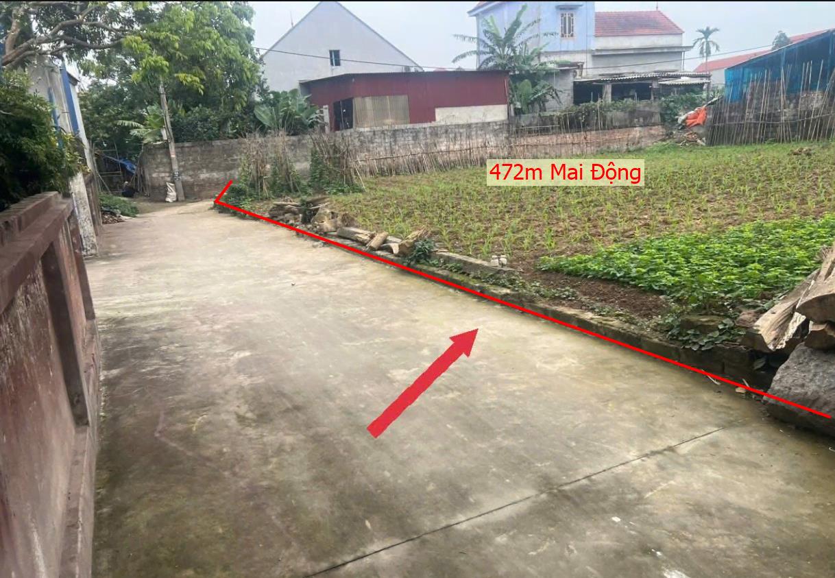 Hình ảnh Bán Lô Đất 472m Tại Mai Động Kim Động Bám Đường Bê Tông Ô Tô Vào Tận Đất Dân Cư Đông Đúc Thân Thiện Đầy Đủ Tiện Ích Phù Hợp Phân Lô