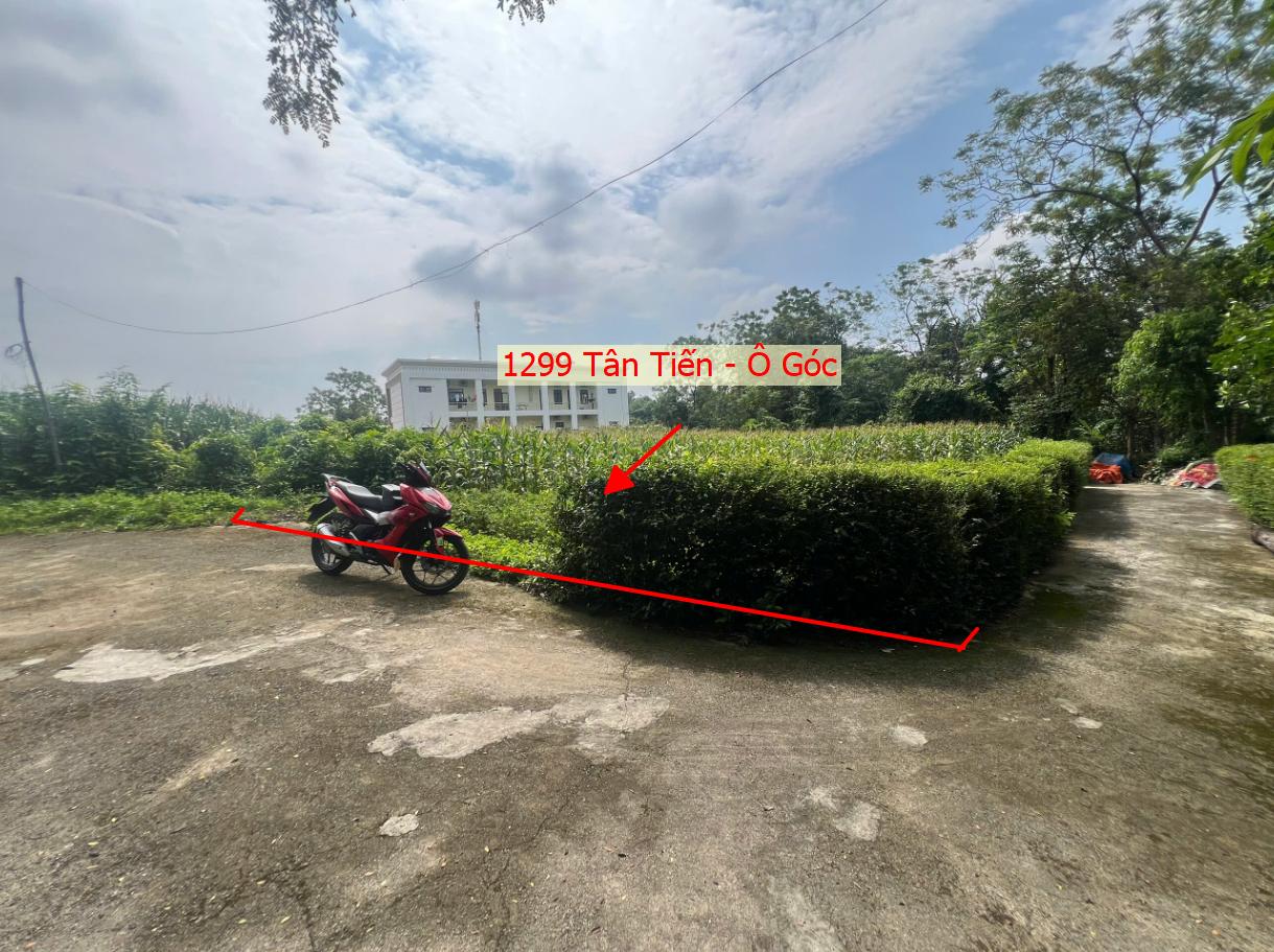Hình ảnh Bán Lô Góc 3 Mặt Thoáng 1299m Tại Tân Tiến Ô Tô Đỗ Tận Đất Sát Trục Kinh Doanh Liên Xã