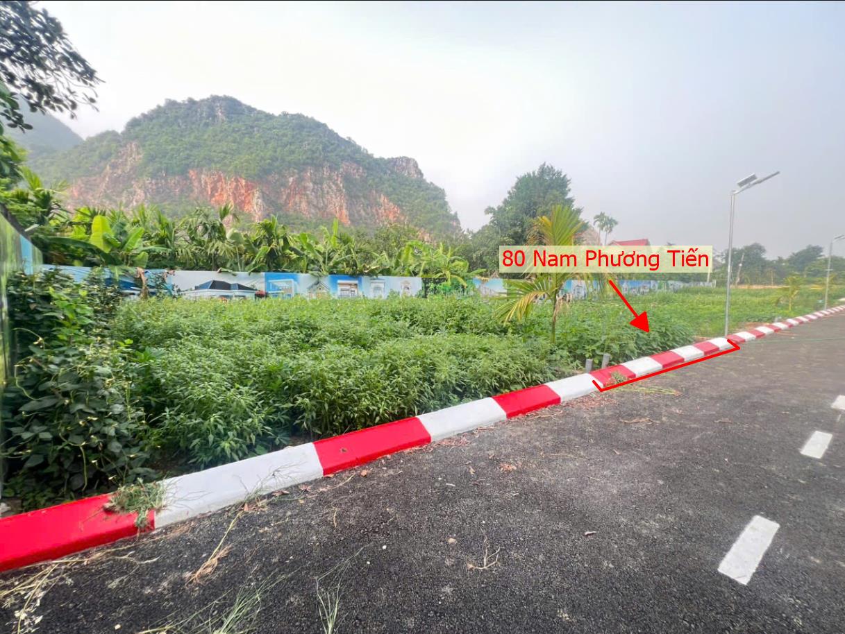Hình ảnh Bất Động Sản Xuân Mai Xuân Mai Bán Đất Phân Lô Nam Phương Tiến Thuộc Làn 2 Đường QL21A Ngay Sát Chợ Cá