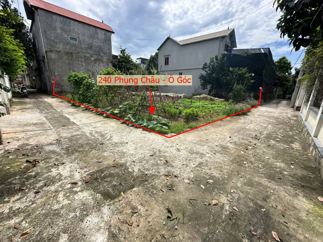 Hình ảnh Bán Đất Phụng Châu Gần Đường Đê Mới Liên Huyện | Giáp Huyện Quốc Oai