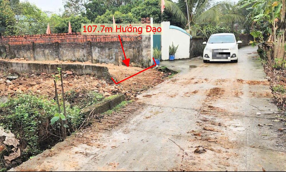 Hình ảnh Bán Lô Đất 107.7m Tại Hướng Đạo Tam Dương Bám Đường Bê Tông Ô Tô Vào Tận Đất Dân Cư Đông Đúc Thân Thiện Giá Đầu Tư