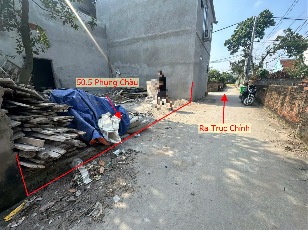 Hình ảnh Bán Đất Phụng Châu Ngay Trung Tâm Xã Phụng Châu Sát Trục Chính Kinh Doanh Liên Huyện 