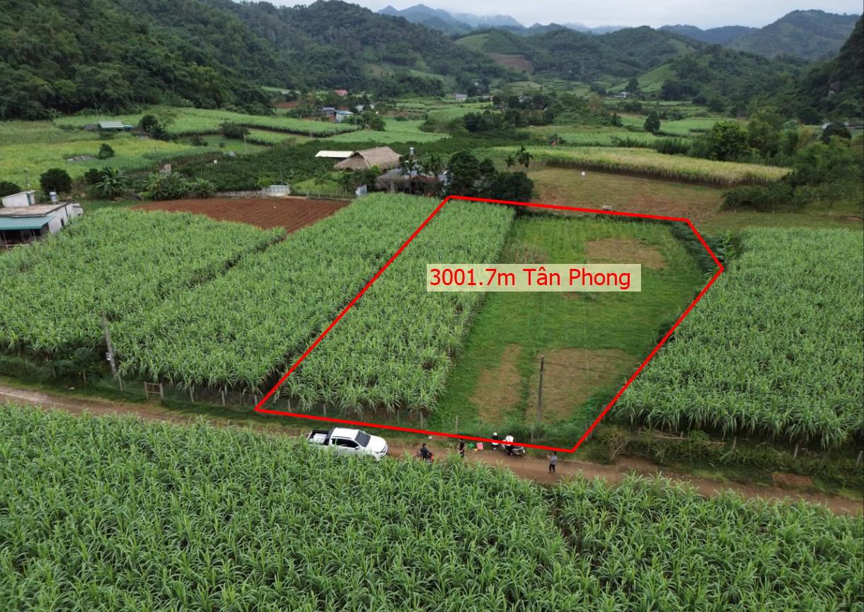 Hình ảnh Bán Lô Đất 3001.7m Tại Tân Phong Ô Tô Vào Tận Đất View Núi Non Trùng Điệp Gần Nhiều Khu Nghỉ Dưỡng Sổ Đỏ Pháp Lý Rõ Ràng 