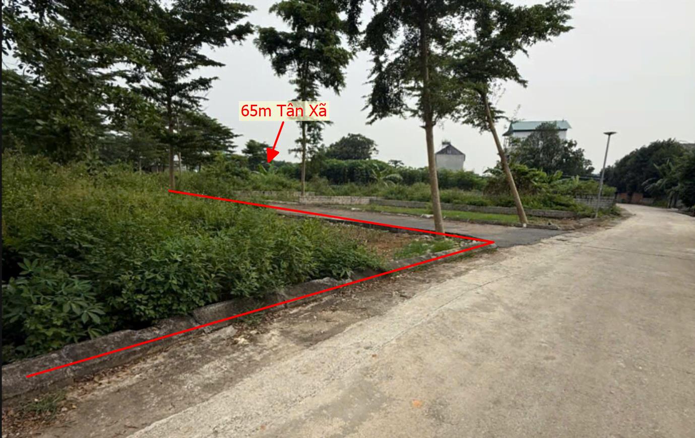 Hình ảnh Bán Lô Đất 65m Tại Tân Xã Thạch Thất Bám Đường Bê Tông Ô Tô Vào Tận Đất Dân Cư Đông Gần Chợ Trường Học Ủy Ban Giá Đầu Tư