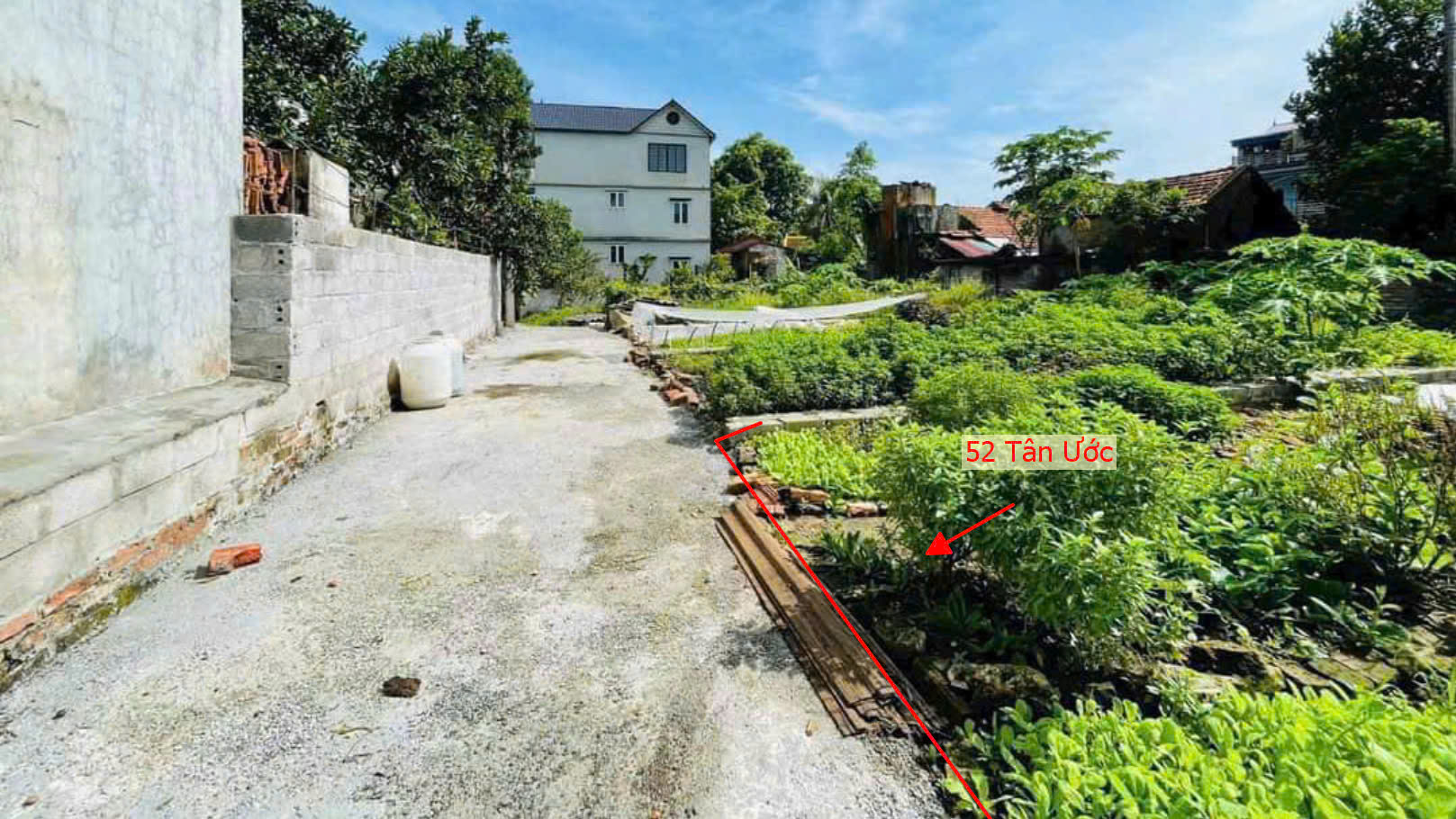 Hình ảnh Bán Đất Phân Lô Tân Ước Ngay Trung Tâm Xã Tân Ước Sát Trục Chính Kinh Doanh Liên Xã 