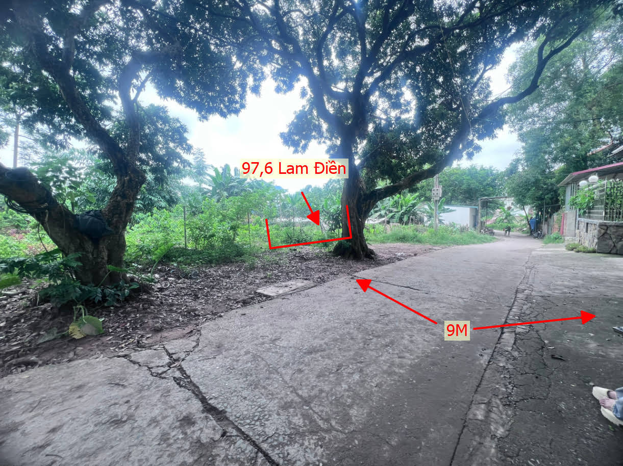 Hình ảnh Bán Đất Phân Lô Full Thổ Cư Ngay Trung Tâm Xã Lam Điền Giá Nhỉnh Tỷ