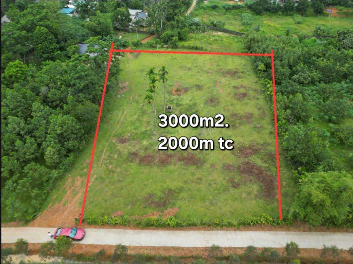 Hình ảnh Bán Lô Đất 2881m Tại Xuất Hóa Lạc Sơn Bám Đất Dân Cư Đông Đúc Thân Thiện Phù Hợp Phân Lô Sổ Đỏ Pháp Lý Rõ Ràng Giá Đầu Tư