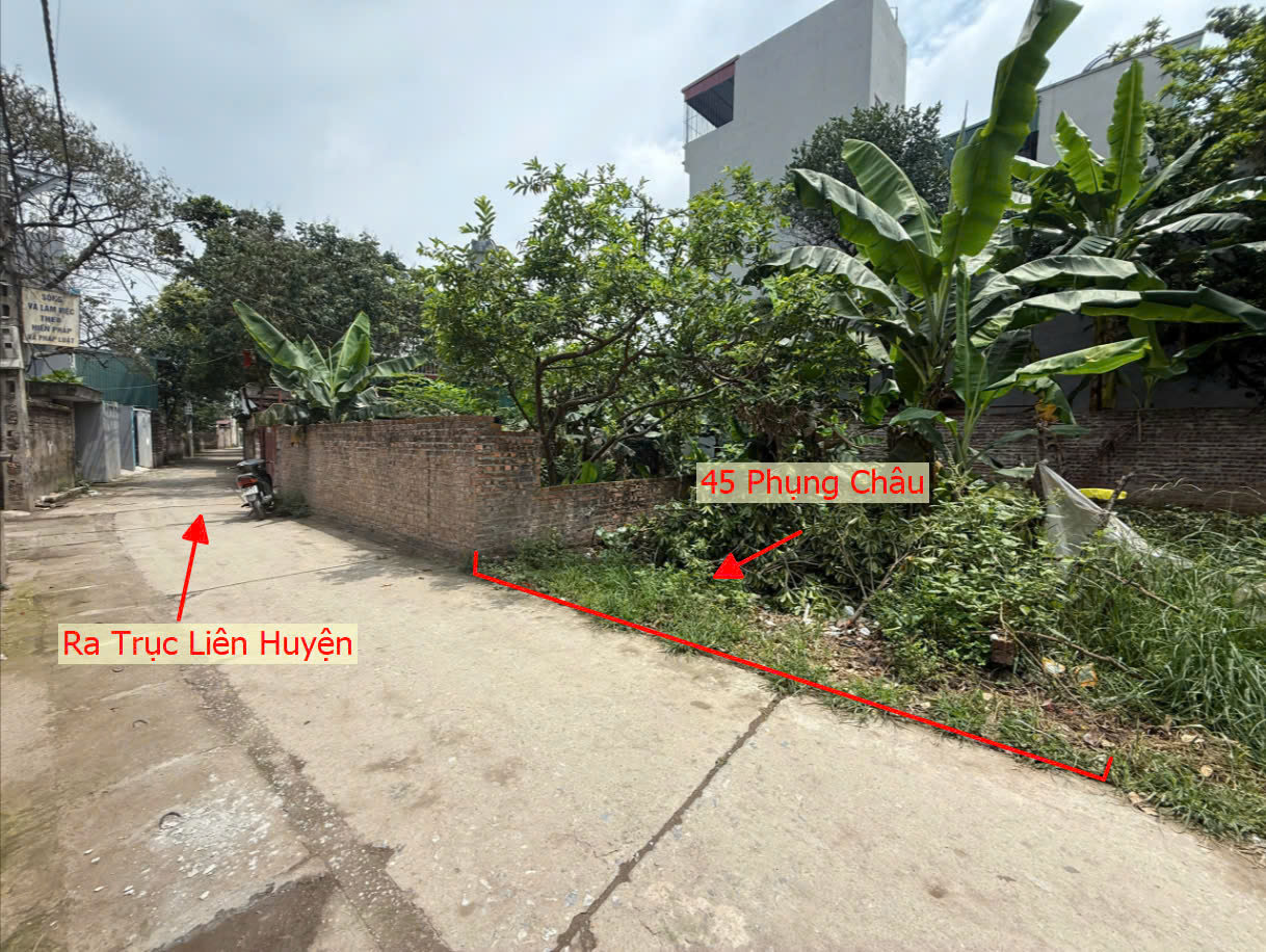 Hình ảnh Bán Thửa Đất 45m Tại Phụng Châu Ô Tô Đỗ Tận Đất Sát Trục Kinh Doanh Liên Huyện 