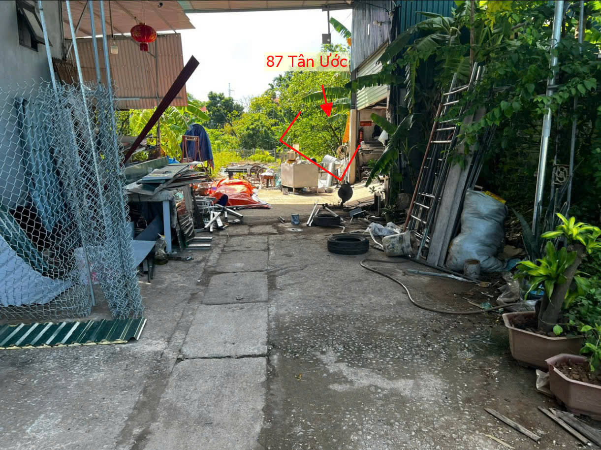 Hình ảnh Bán Đất Đấu Giá Khu Điếm Tổng Tân Ước Sát Trục Kinh Doanh Liên Xã Ô Tô Vào Tận Đất (CL4-05)