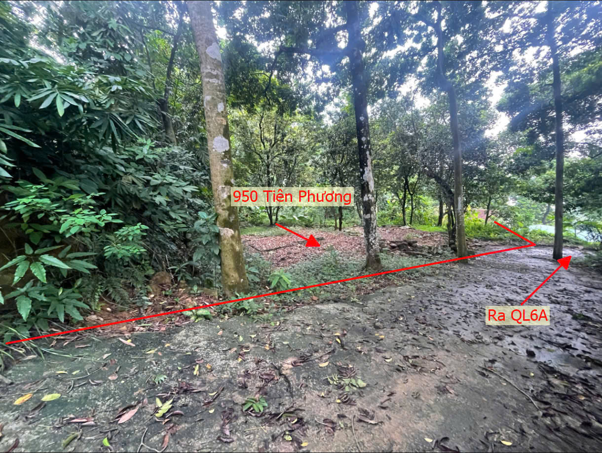 Hình ảnh Bán Đất Tiên Phương Ngay Gần Trung Tâm Xã Tiên Phương Sát TL419 