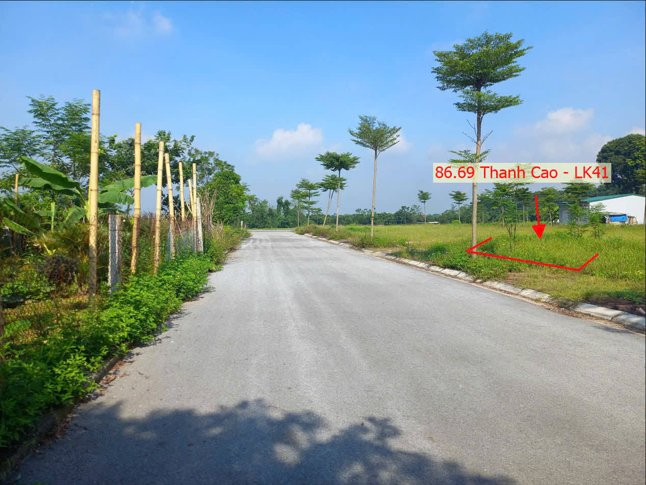 Hình ảnh Bán Đất Đấu Giá Thanh Cao Sát Trục Kinh Doanh Gần Trung Tâm Xã Thanh Cao (LK41)