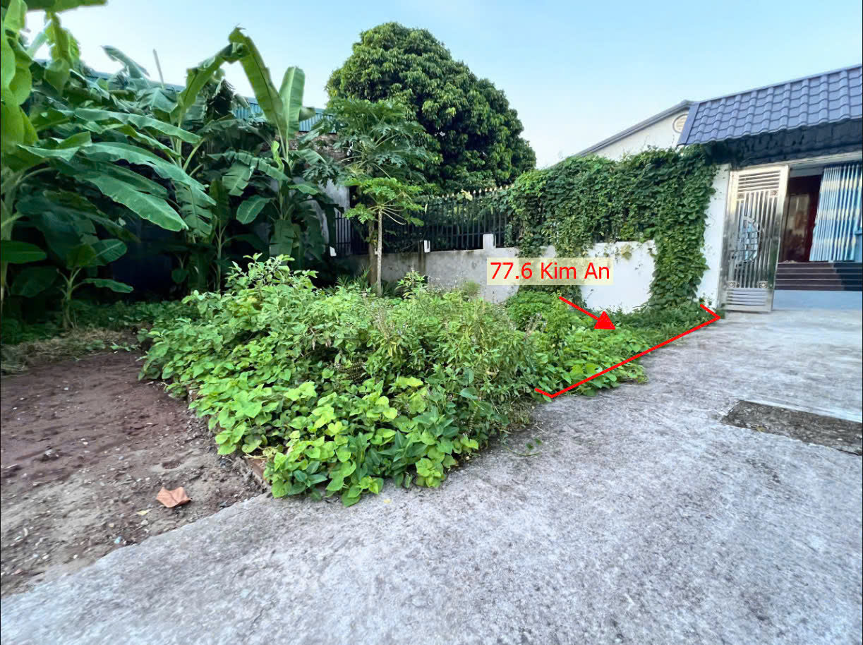 Hình ảnh Bán Đất Kim An Sát Trục Chính Kinh Doanh Liên Xã Gần Trung Tâm Xã Kim An Giá Nhỉnh Tỷ